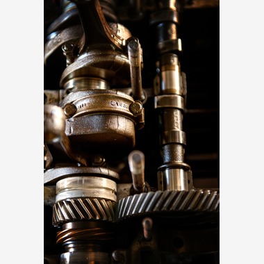 Yoppegraphy Photographic Serviceが撮影した「会社概要」の写真