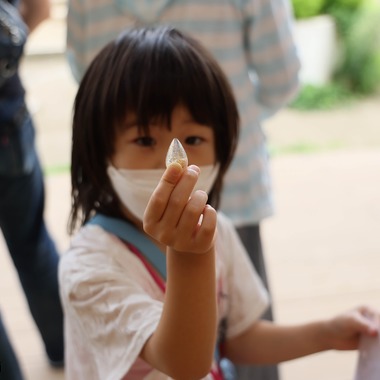 木村隆が撮影した「仙台市」の写真