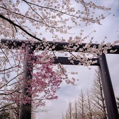 いんかが撮影した「風景.a」の写真