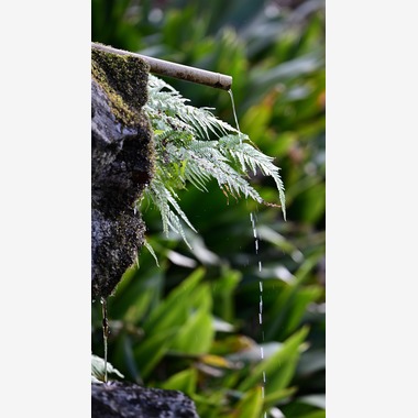 中谷新が出張撮影した「風景とろう」の家族写真