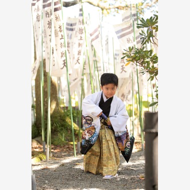 Photographer  Tomoが撮影した「七五三」の写真