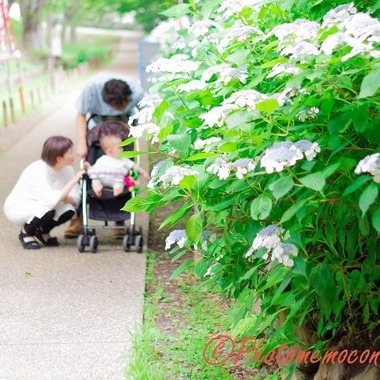 Photo taken by Photomemocon - 