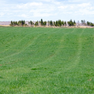 眞田 厚司が撮影した「風景」の写真
