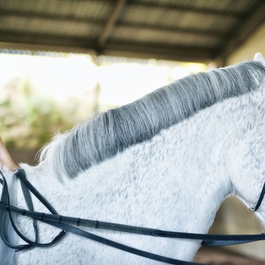 Raita Kuwahara photographyが撮影した「ウェディング当日」の写真