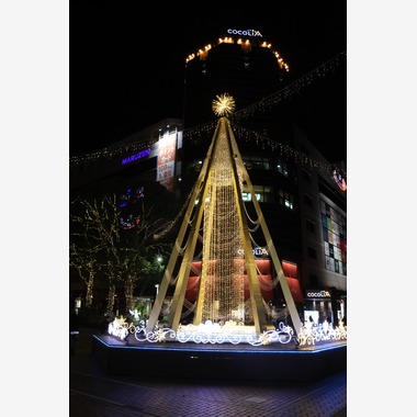 ＮＫ フォトエージェンシーが撮影した「建物・風景写真③(多摩センター駅前イルミネーション）」の写真