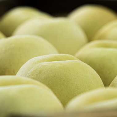 umimoyamamoworksが撮影した「農家さん取材写真」の写真