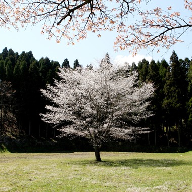 瀬井美明が撮影した「海外・国内」の写真