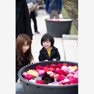 SBODY PHOTOが撮影した「大阪万博記念公園での家族写真」の写真