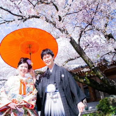 阿部写真館　大阪本町 靭公園前が撮影した「桜」の写真