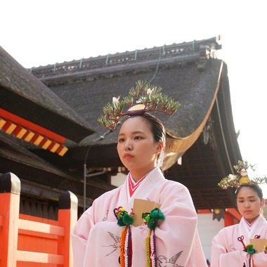 河野慈圓が撮影した「イベント撮影　住吉大社御輿渡御」の写真