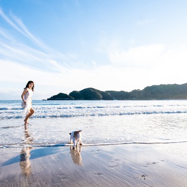 Peace-full photoが撮影した「ペット撮影」の写真