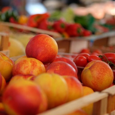 杉本 周平が撮影した「料理関連」の写真