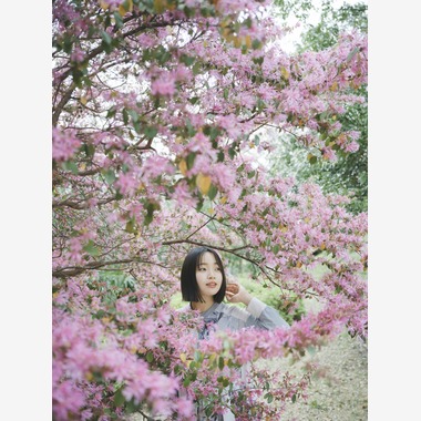 有限会社ワイヤリングが撮影した「ポートレート」の写真