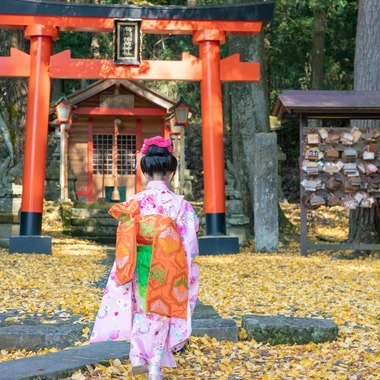 na companyが撮影した「」の写真