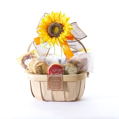 A2FT.jpフォトグラファーまつもとあきらが撮影した「2019年7月 ルシャルトン様」の写真