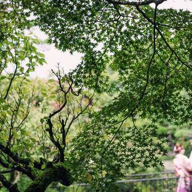 elle pupaが撮影した「福岡」の写真