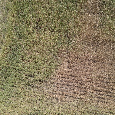 アナハイムエレクトロニクスが撮影した「震災農地調査」の写真