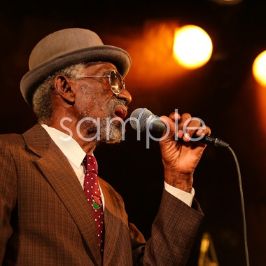 Real☆Shot MASATOが撮影した「ライブ撮影」の写真