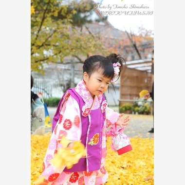 Tomoko Shimaharaが撮影した「七五三撮影」の写真
