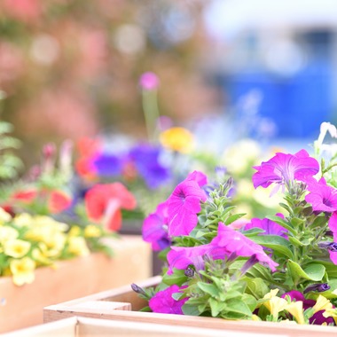 ライトステージが撮影した「イメージカット」の写真