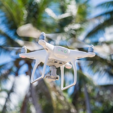 リトルダイナソーが撮影した「風景」の写真