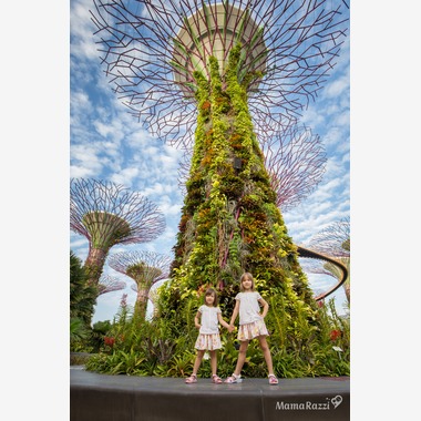 ママラッチが出張撮影した「ガーデンズ・バイ・ザ・ベイ」の家族写真