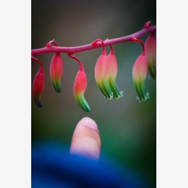 水嶋 将太が撮影した「思い出。」の写真