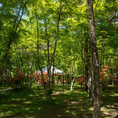 藤井が撮影した「軽井沢」の写真