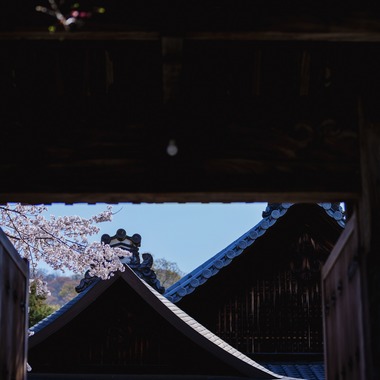 kiharu&photoが撮影した「風景【ロケ撮影】」の写真