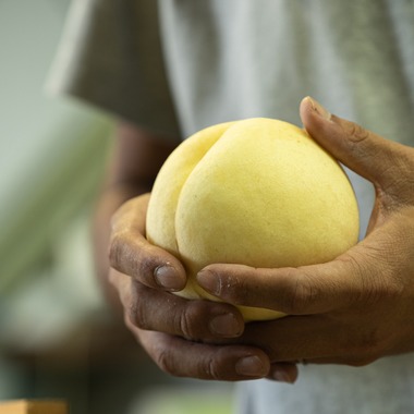 umimoyamamoworksが撮影した「農家さん取材写真」の写真