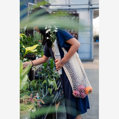 菅野　晴弥が撮影した「物撮り」の写真