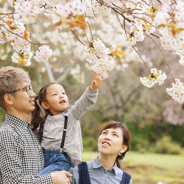 B WORKs PHOTOGRAPHY（丸山  隆史）が撮影した「桜・家族記念撮影」の写真