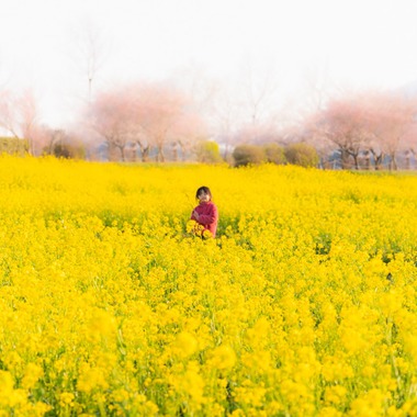 maimaiCameraが撮影した「ローケーションフォトサンプル」の写真