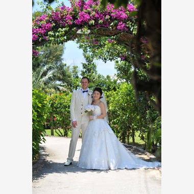 アルルウェディングが撮影した「ビーチガーデン」の写真