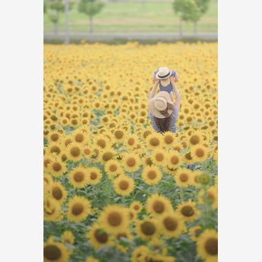 萬代　一樹が出張撮影した「家族撮影」の家族写真