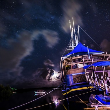 リトルダイナソーが撮影した「風景」の写真