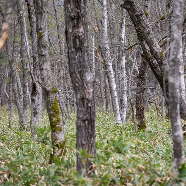 眞田 厚司が撮影した「風景」の写真