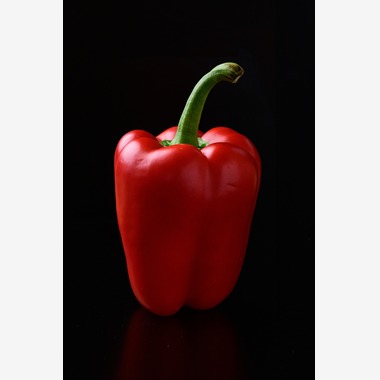 AND KNOTが撮影した「商品・物撮り」の写真