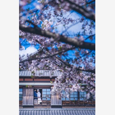 Photo taken by sail - Kimono photography