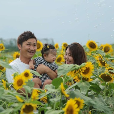 理 S PHOTOが撮影した「鼻高展望ひまわり畑」の写真