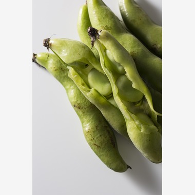 東谷　幸一が撮影した「料理素材」の写真