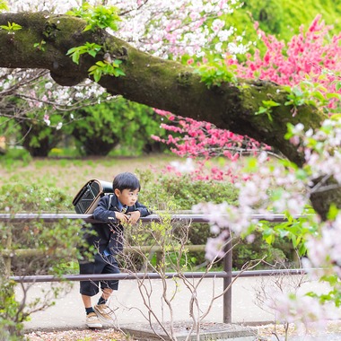 Minminが出張撮影した「入学」の家族写真