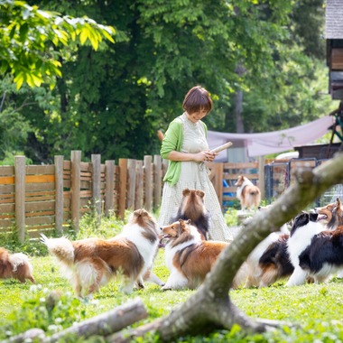 LUCE PHOTO WORKSが撮影した「ペット」の写真