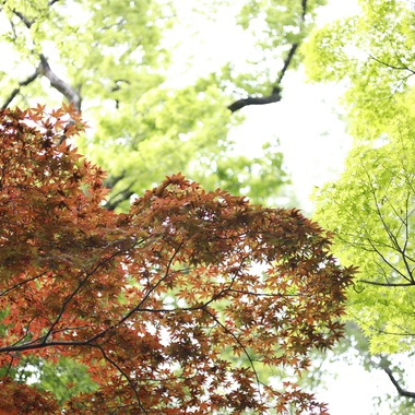 ブイ・シー・エス　アーガシアが撮影した「ポートフォリオ02」の写真