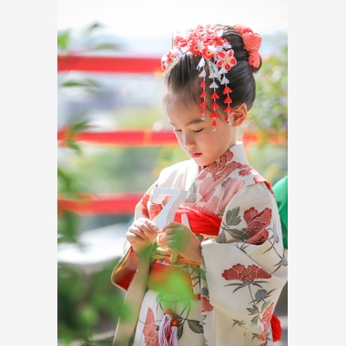 r.n.m Photolifeが撮影した「七五三」の写真