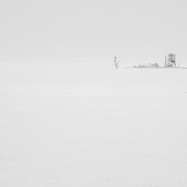 アンドCが撮影した「wabiSabi」の写真