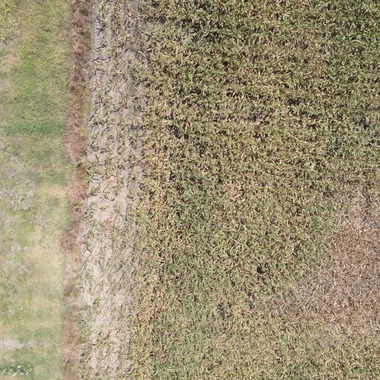 アナハイムエレクトロニクスが撮影した「震災農地調査」の写真