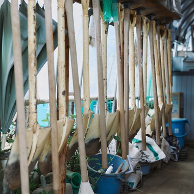 Shun Kanazawaが撮影した「Life Style」の写真