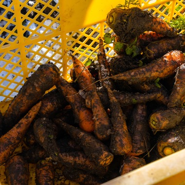 おだちゃんが撮影した「商品撮影サンプル」の写真