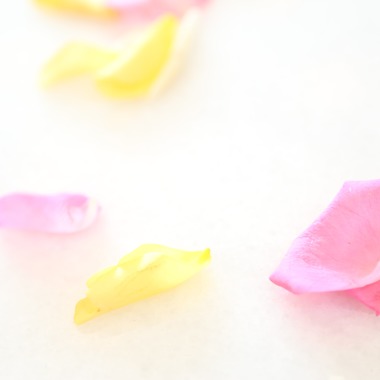 ナカムラが撮影した「」の写真